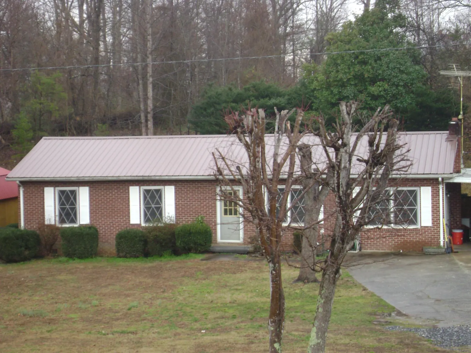 Mauve metal roof on a brick ranch home behind bare trees in Lamar